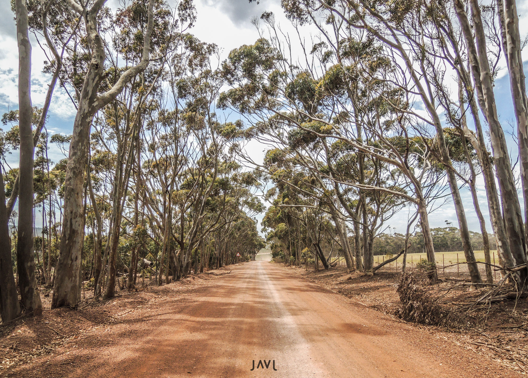 De rally por los caminos de Sudafrica