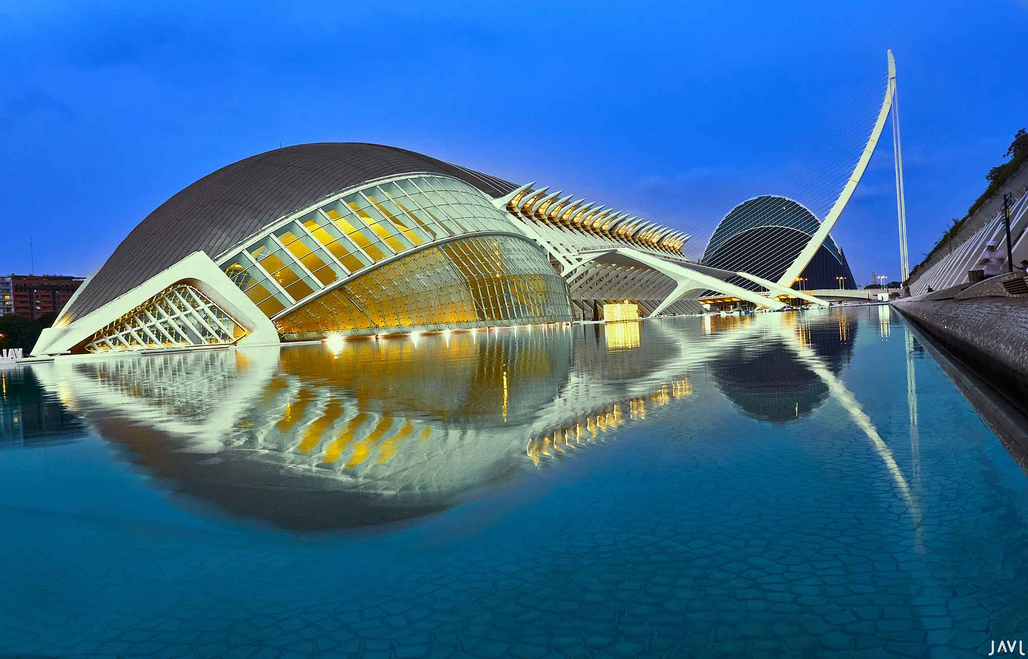 El pez de la ciudad de las artes y las ciencias de Valencia