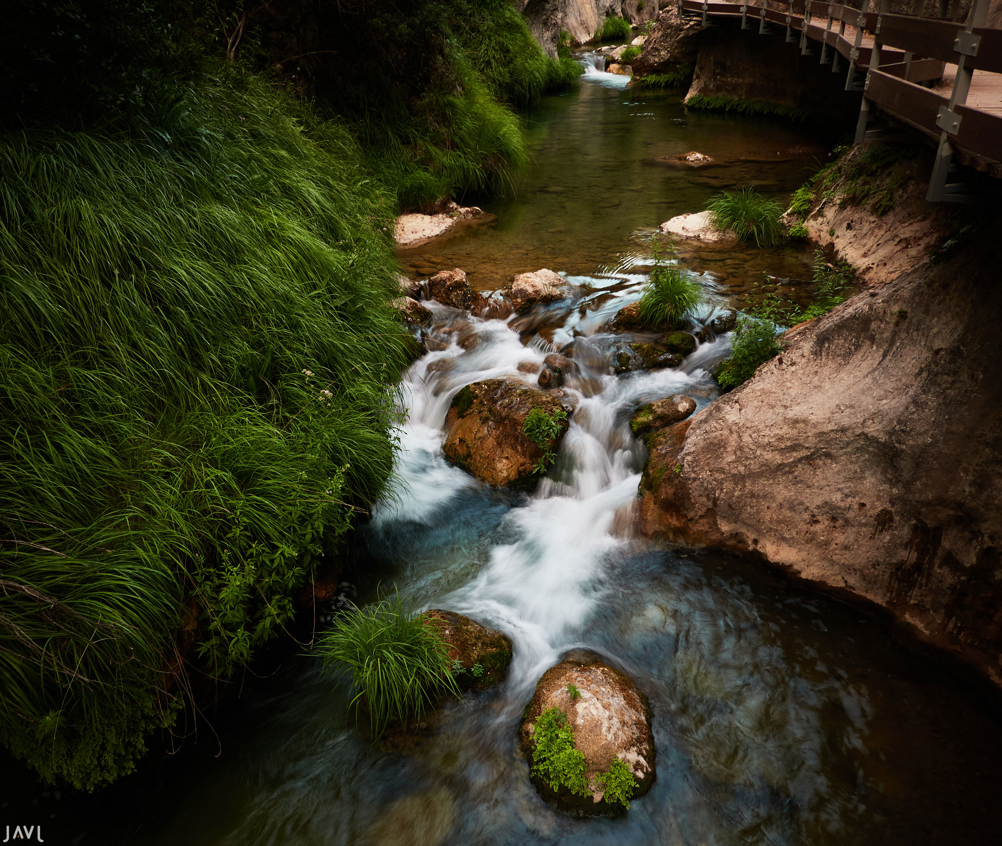 Efecto seda en el río Borosa