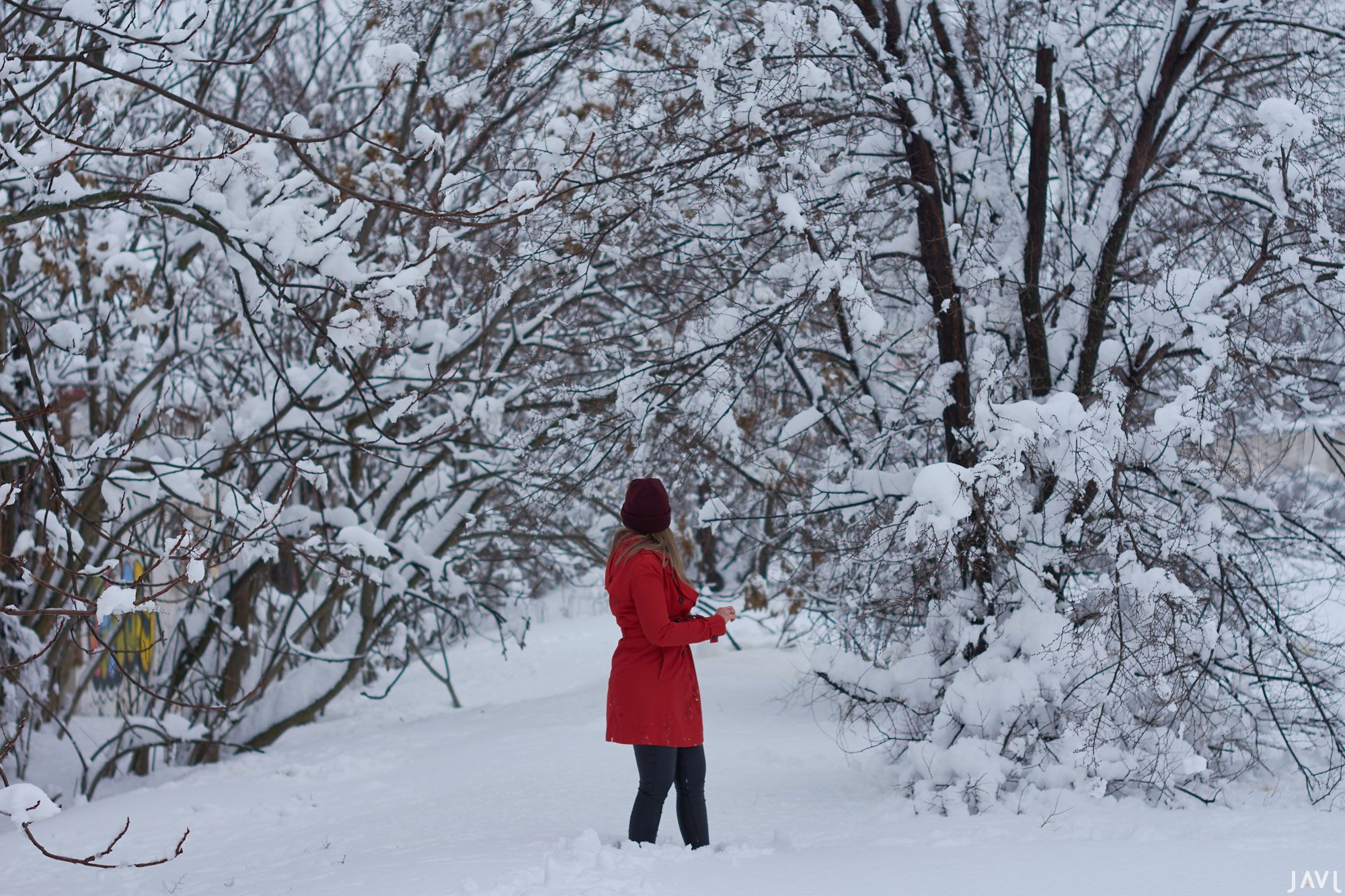 Caperucita roja en la nieve